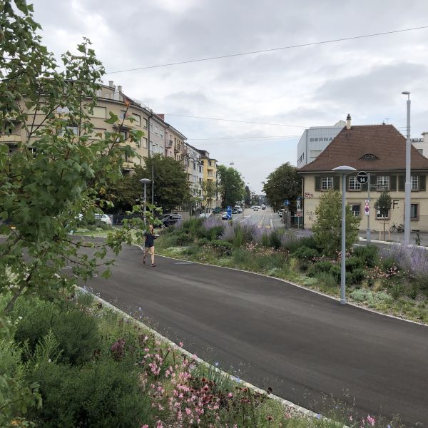 Platz am Viertelkreis - Vegetation