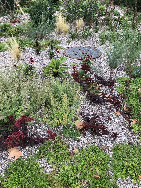 Platz am Viertelkreis - Vegetation